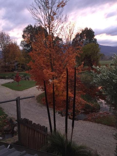 Eco Mt. Beauty-near Falls Creek & Bright *